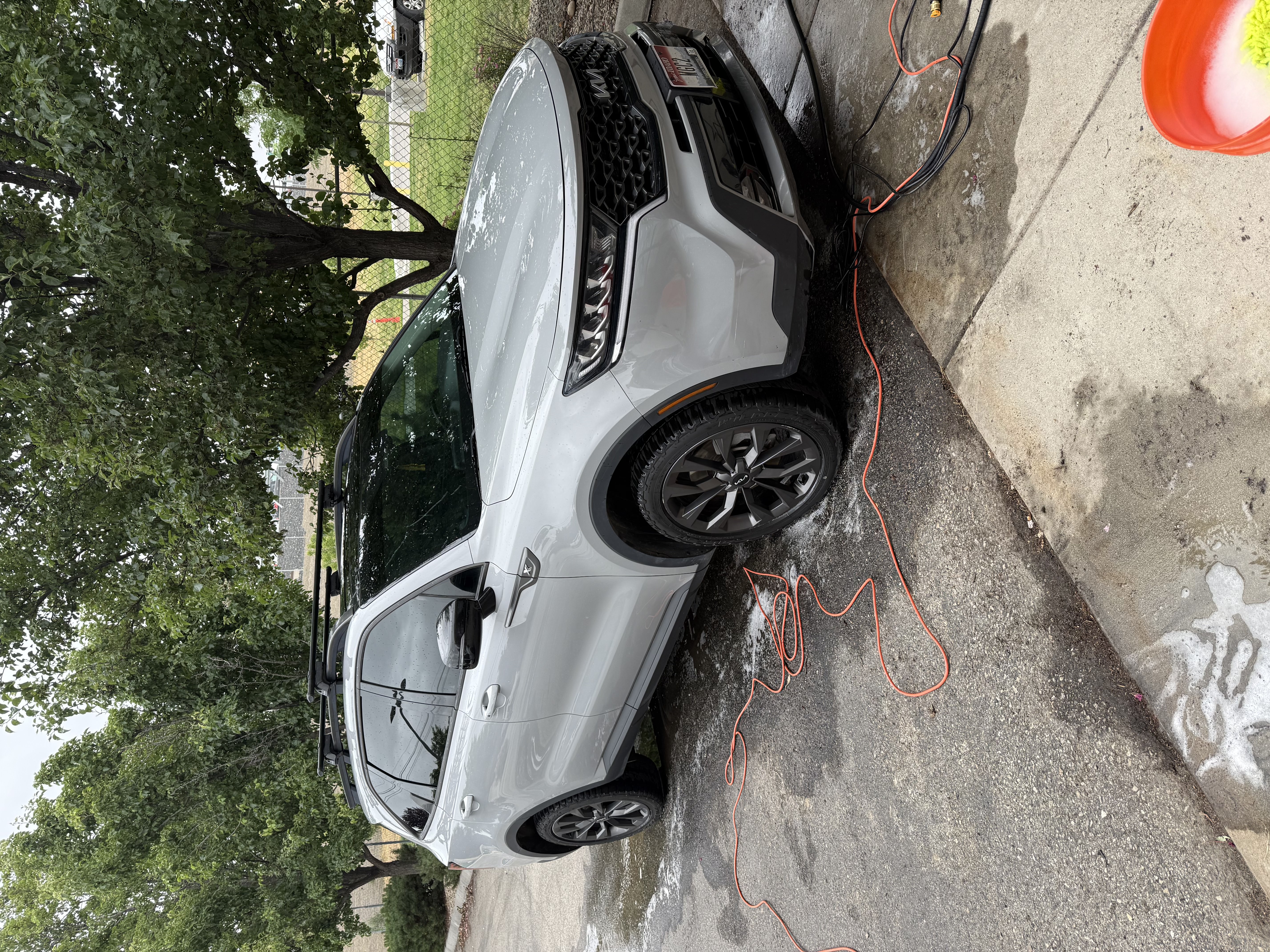 Professional Detailing Results