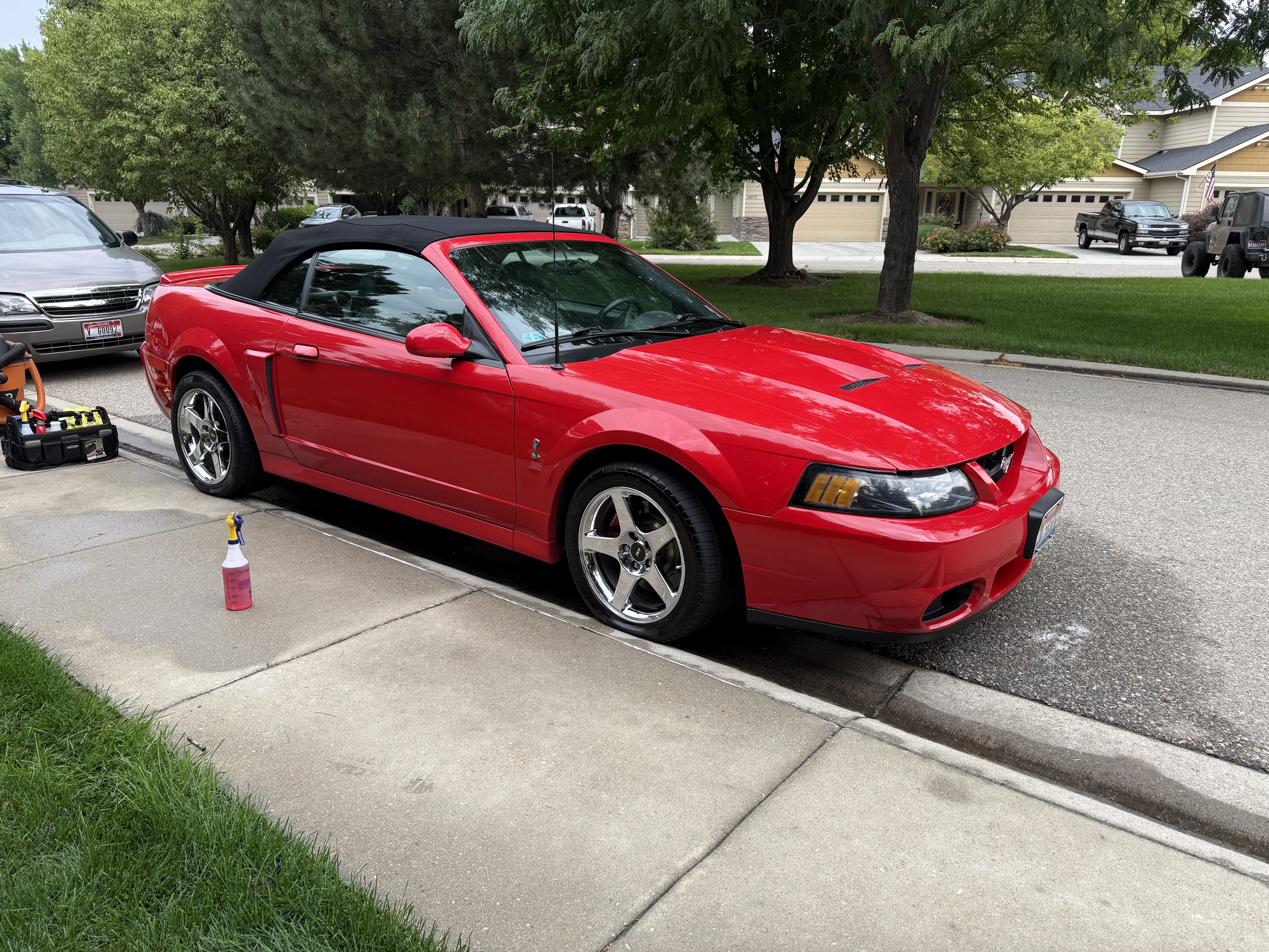 Professional Detailing Results