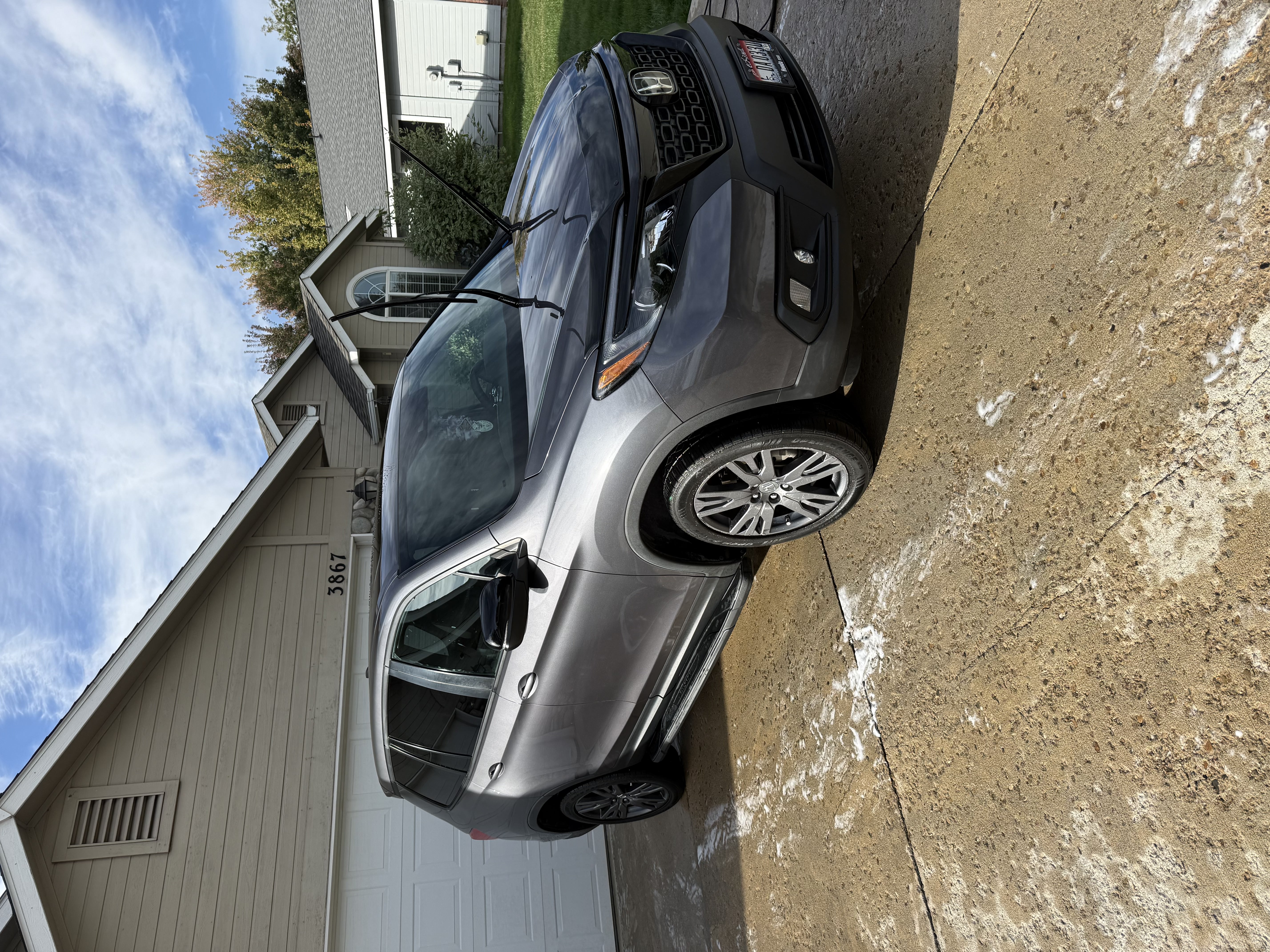 Professional Detailing Results